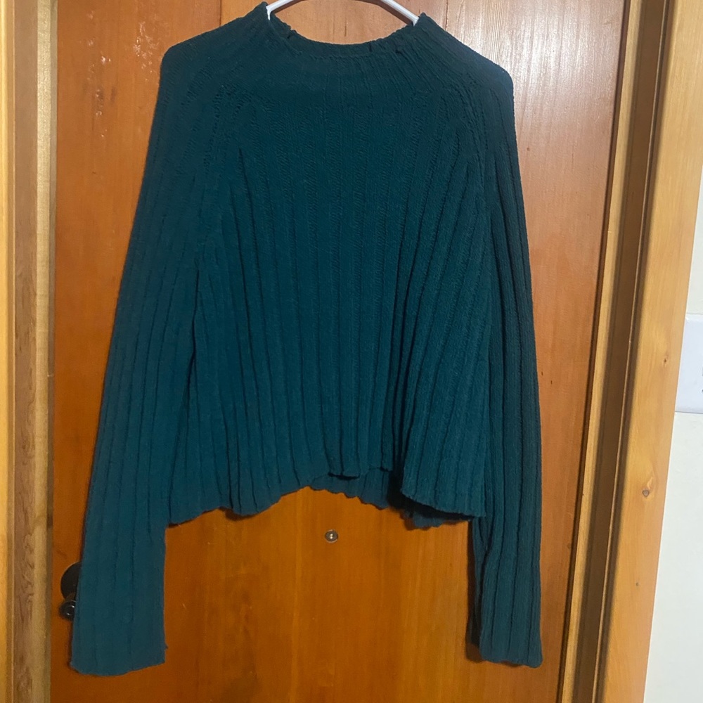 American eagle cropped sweater